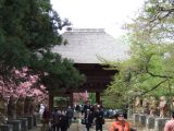 茂林寺